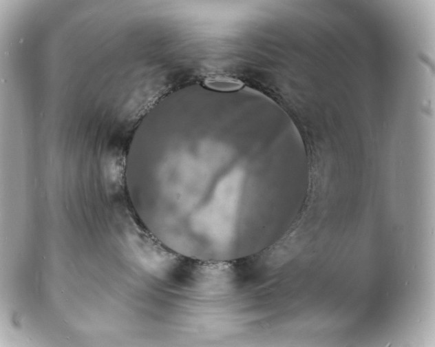 X0000102230576200808151733