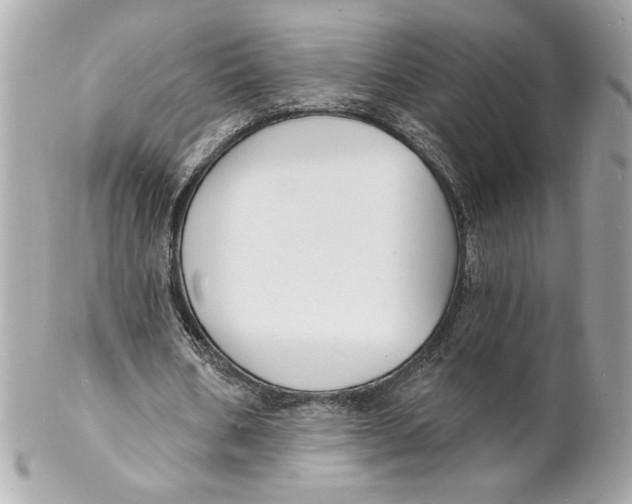 X0000102230578200808151732