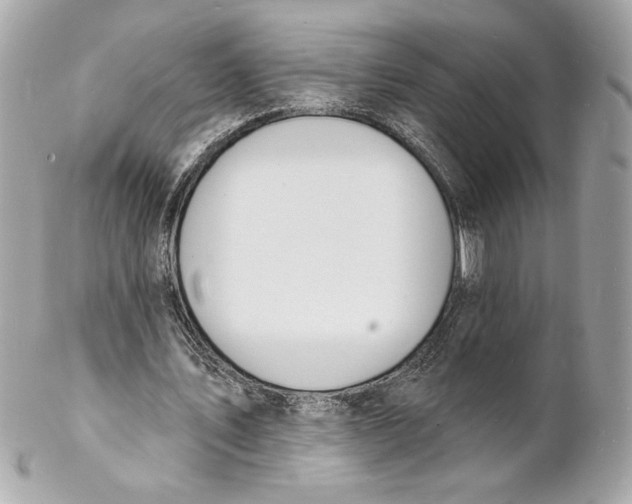 X0000102230579200808151732