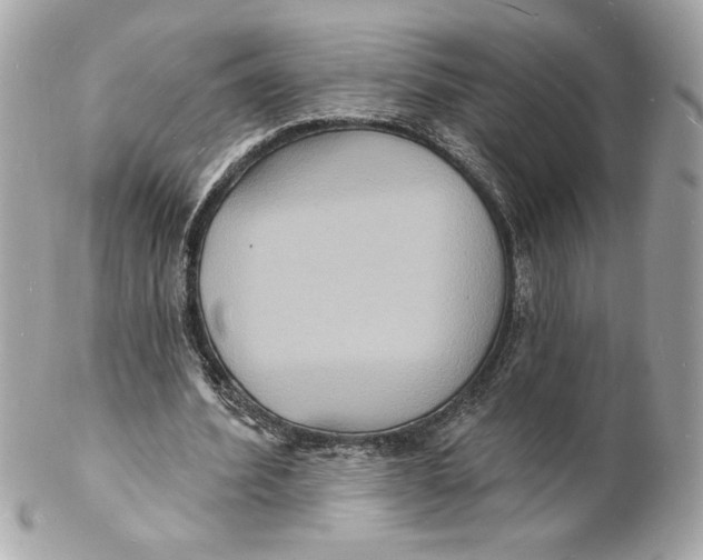 X0000102230580200808151732