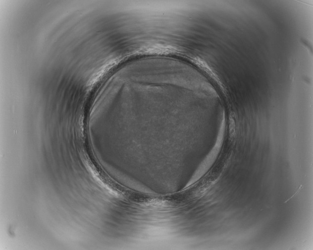 X0000102230581200808151732