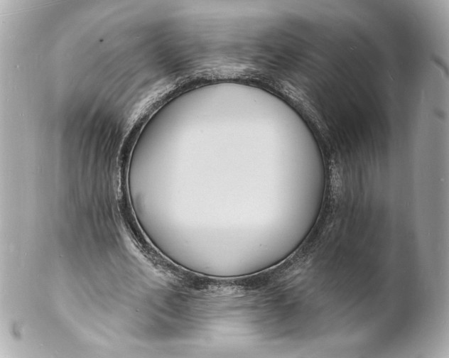 X0000102230582200808151732