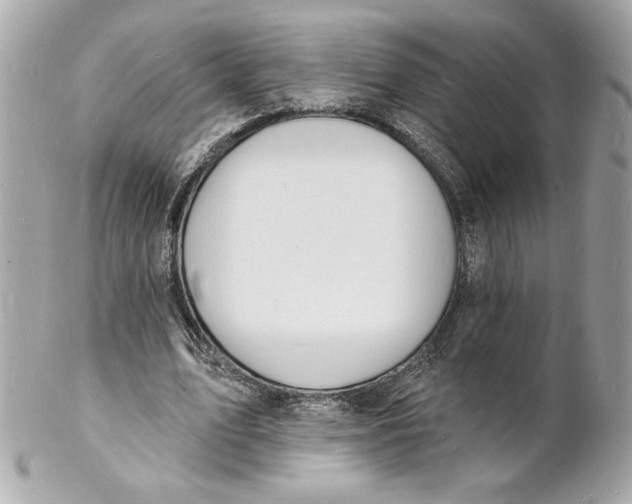 X0000102230583200808151732