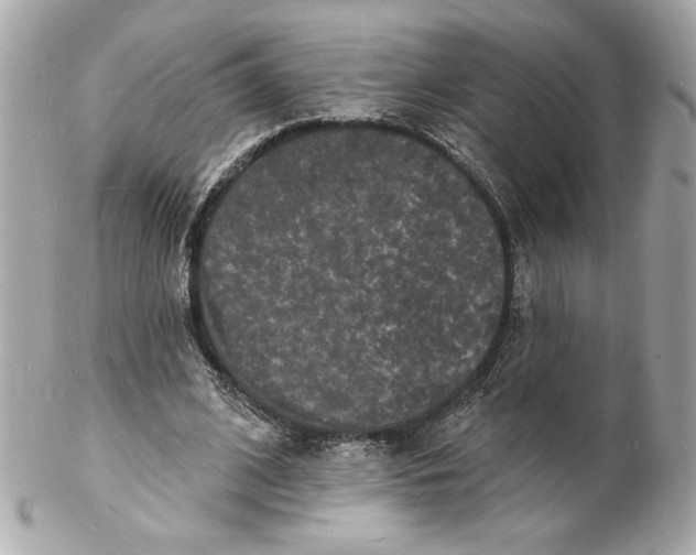 X0000102230584200808151732