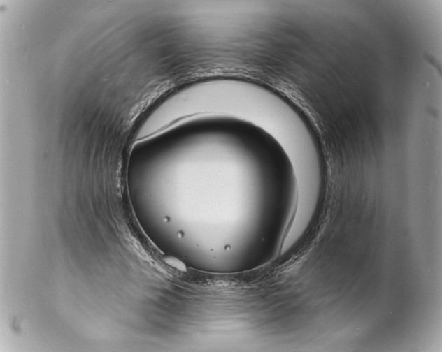X0000102230585200808151732