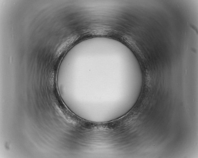 X0000102230586200808151732