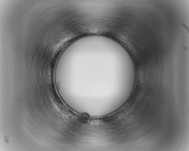 X0000102230587200808151732