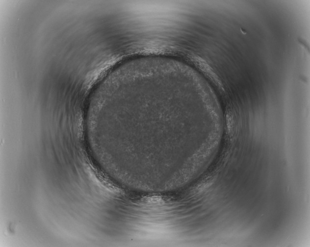 X0000102230588200808151732