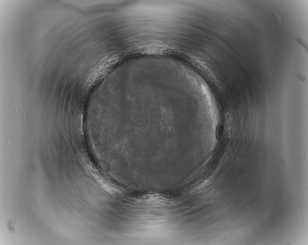 X0000102230589200808151732