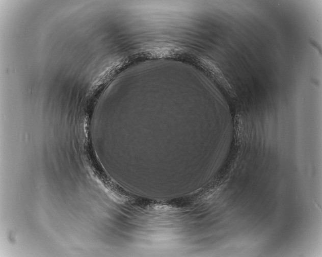 X0000102230590200808151732