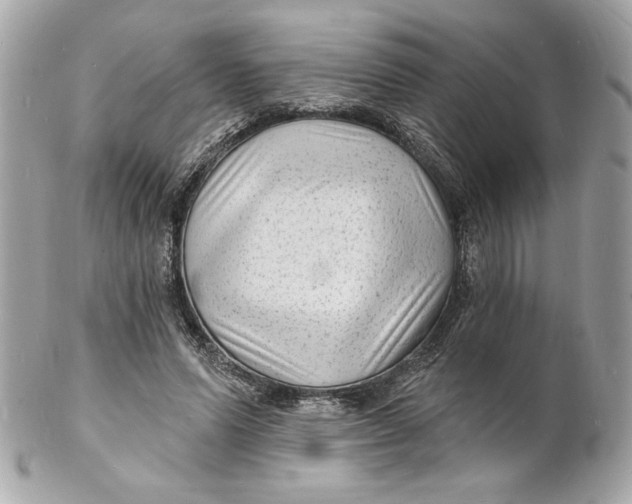 X0000102230591200808151732