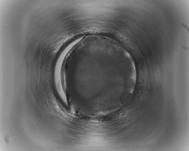 X0000102230592200808151732