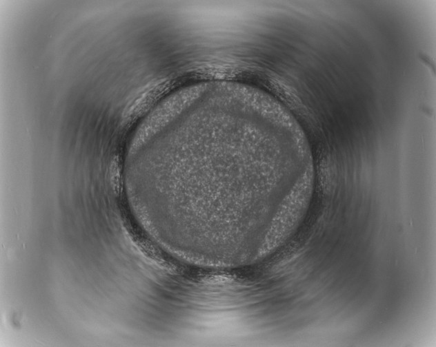 X0000102230594200808151732