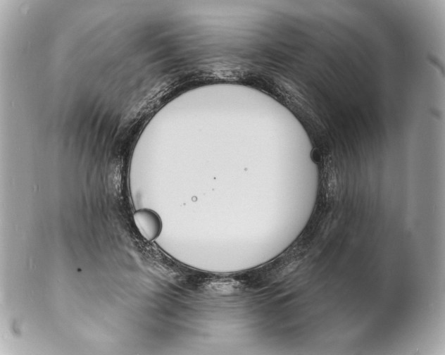 X0000102230595200808151732