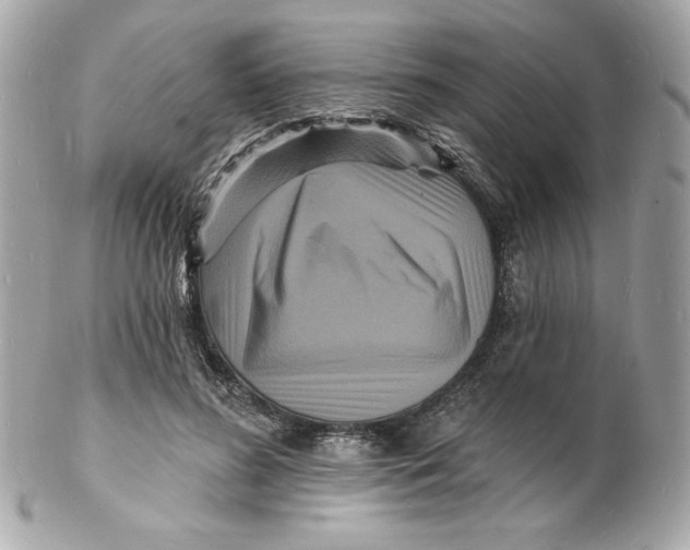 X0000102230596200808151732