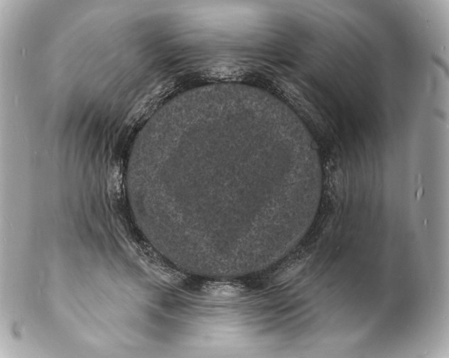 X0000102230597200808151732