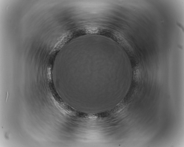 X0000102230598200808151732