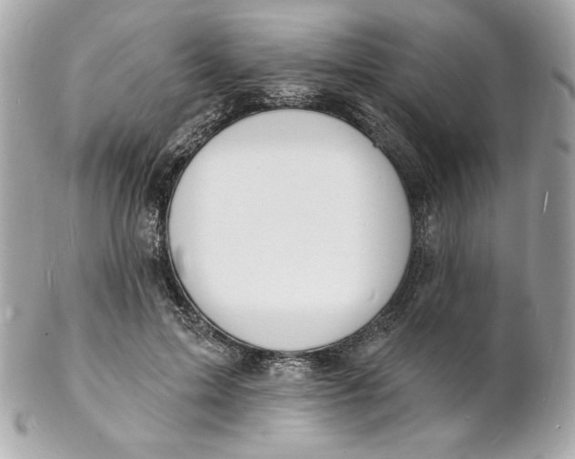 X0000102230599200808151732