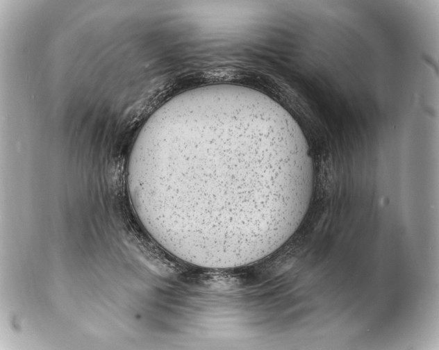 X0000102230601200808151732