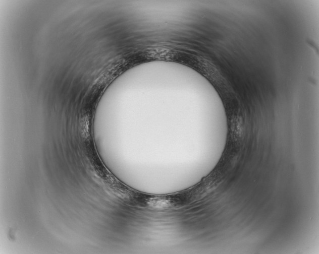 X0000102230602200808151732