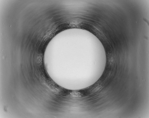 X0000102230603200808151732
