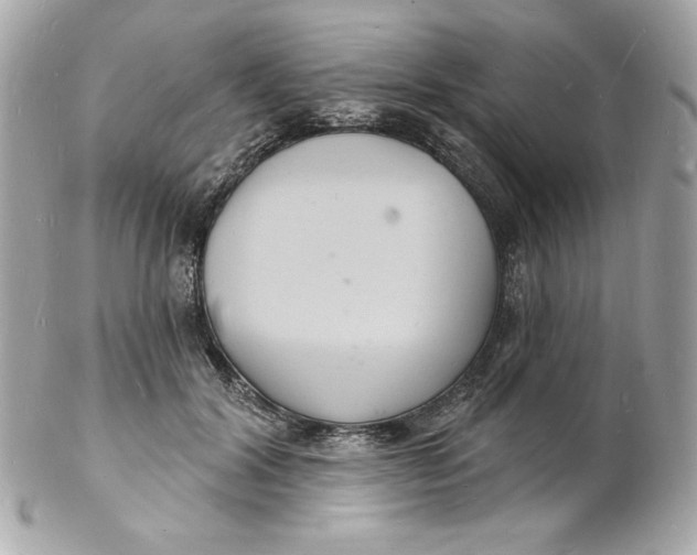 X0000102230604200808151732