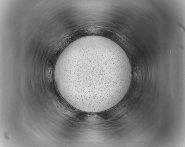 X0000102230605200808151731