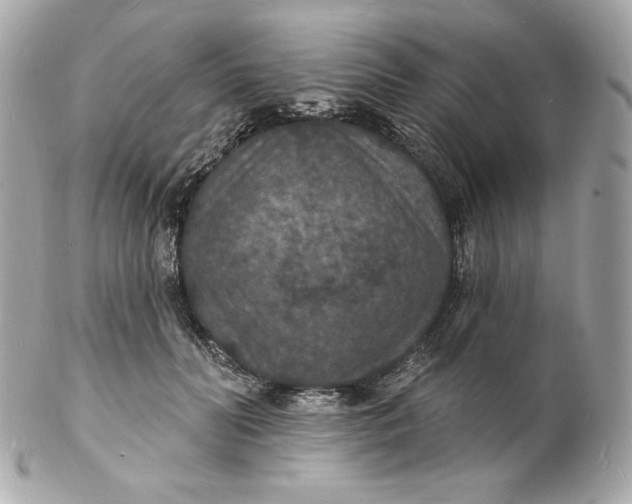 X0000102230606200808151731