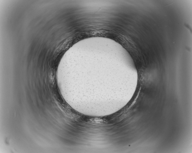 X0000102230607200808151731