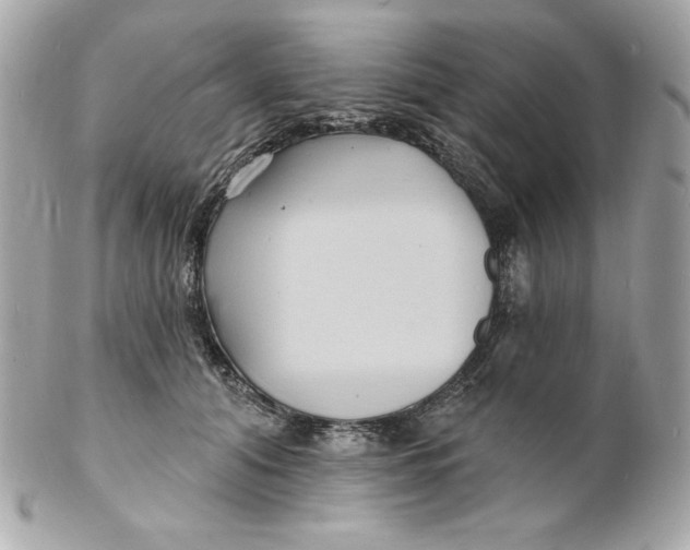 X0000102230608200808151731