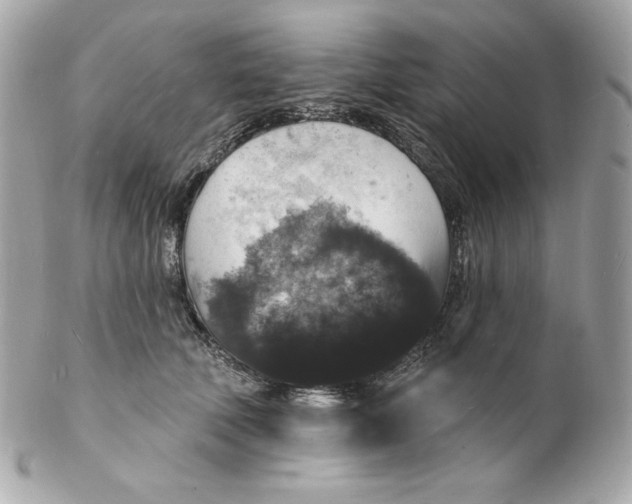 X0000102230610200808151731