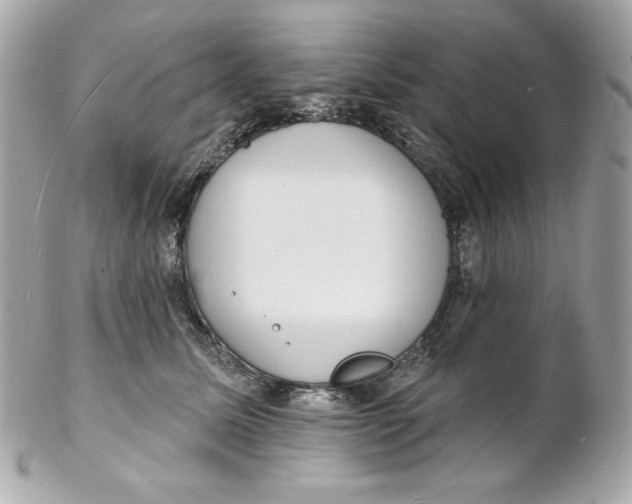X0000102230611200808151731