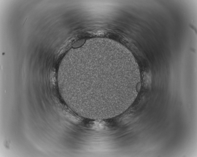 X0000102230612200808151731