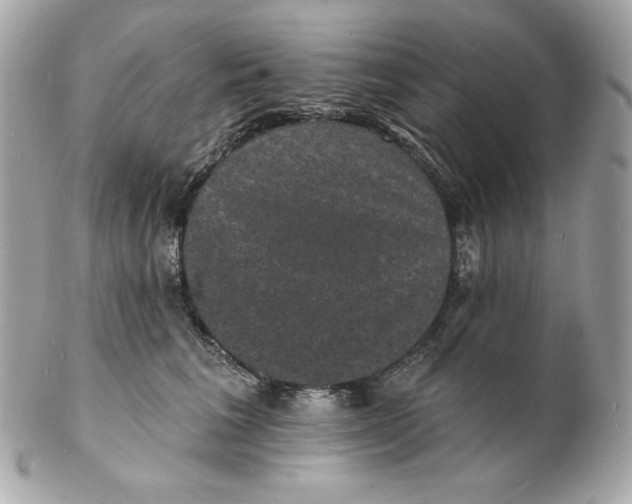 X0000102230613200808151731
