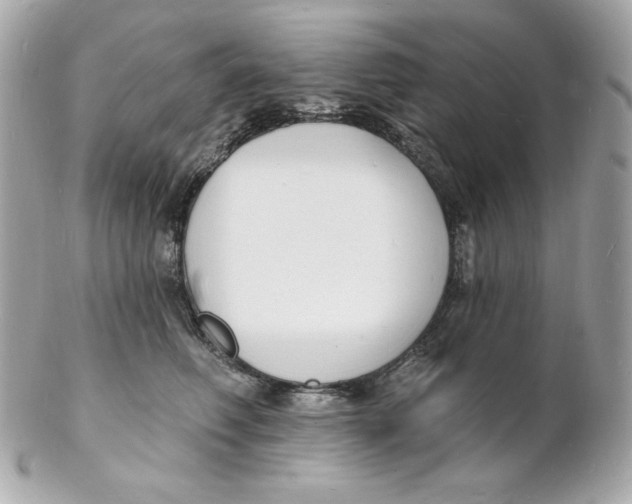X0000102230614200808151731