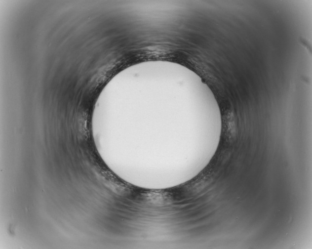 X0000102230615200808151731