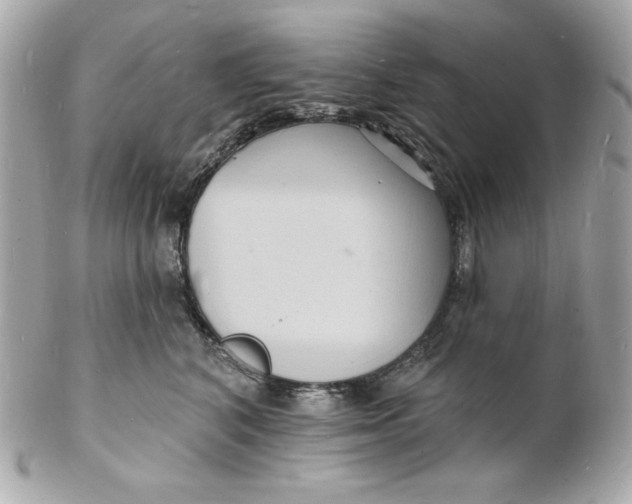 X0000102230616200808151731