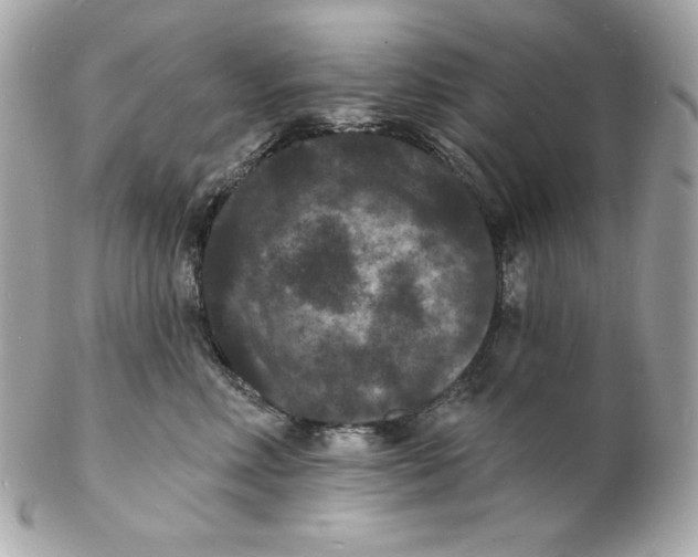 X0000102230618200808151731