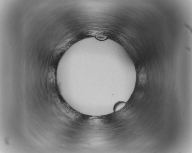X0000102230620200808151731