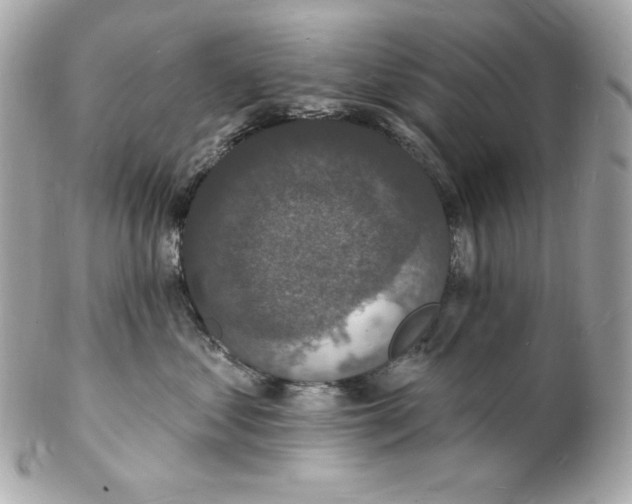 X0000102230621200808151731