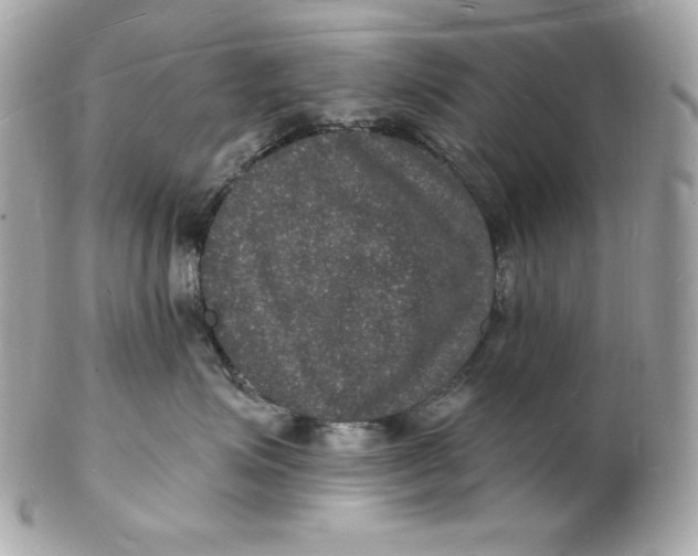 X0000102230623200808151731