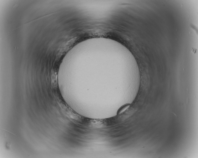 X0000102230624200808151731