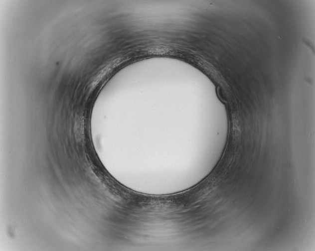 X0000102230626200808151730