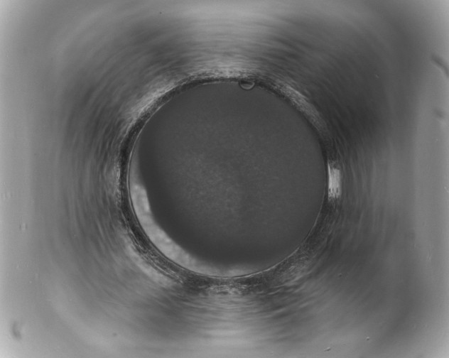 X0000102230627200808151730