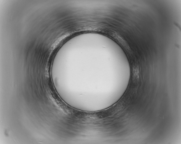 X0000102230628200808151730