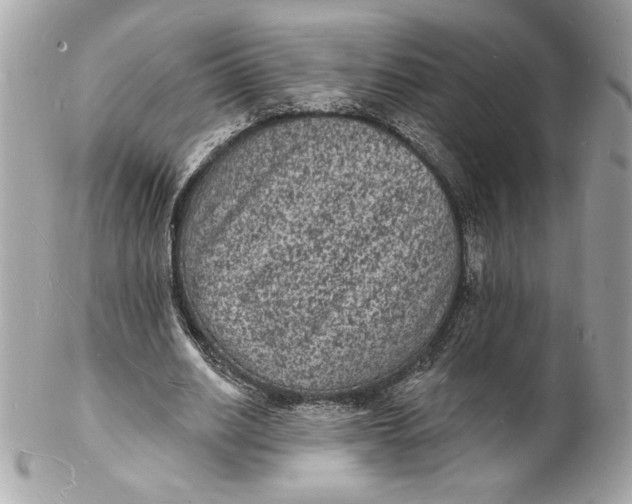X0000102230630200808151730