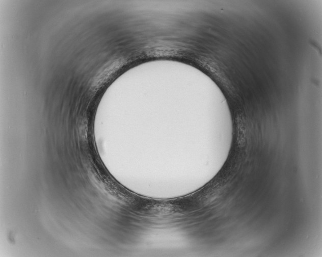 X0000102230631200808151730