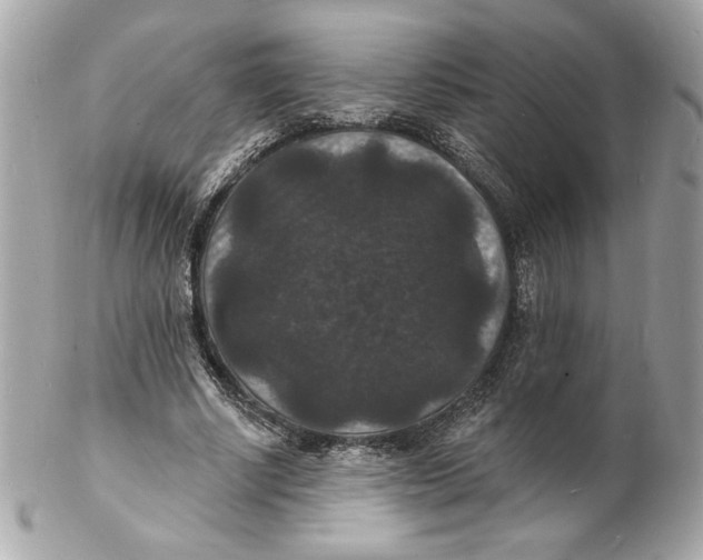 X0000102230634200808151731