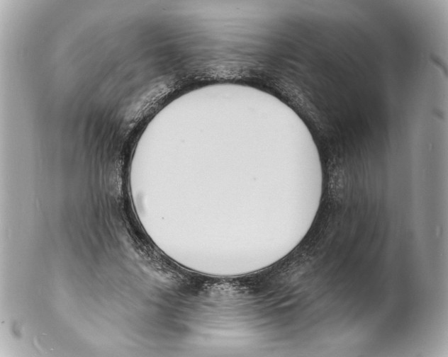 X0000102230635200808151731