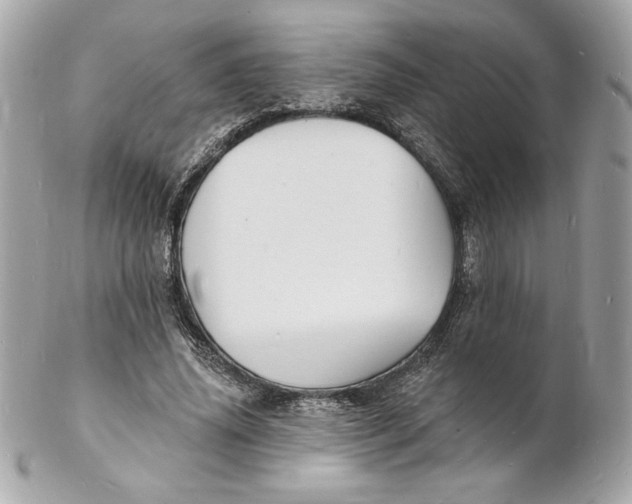 X0000102230636200808151731